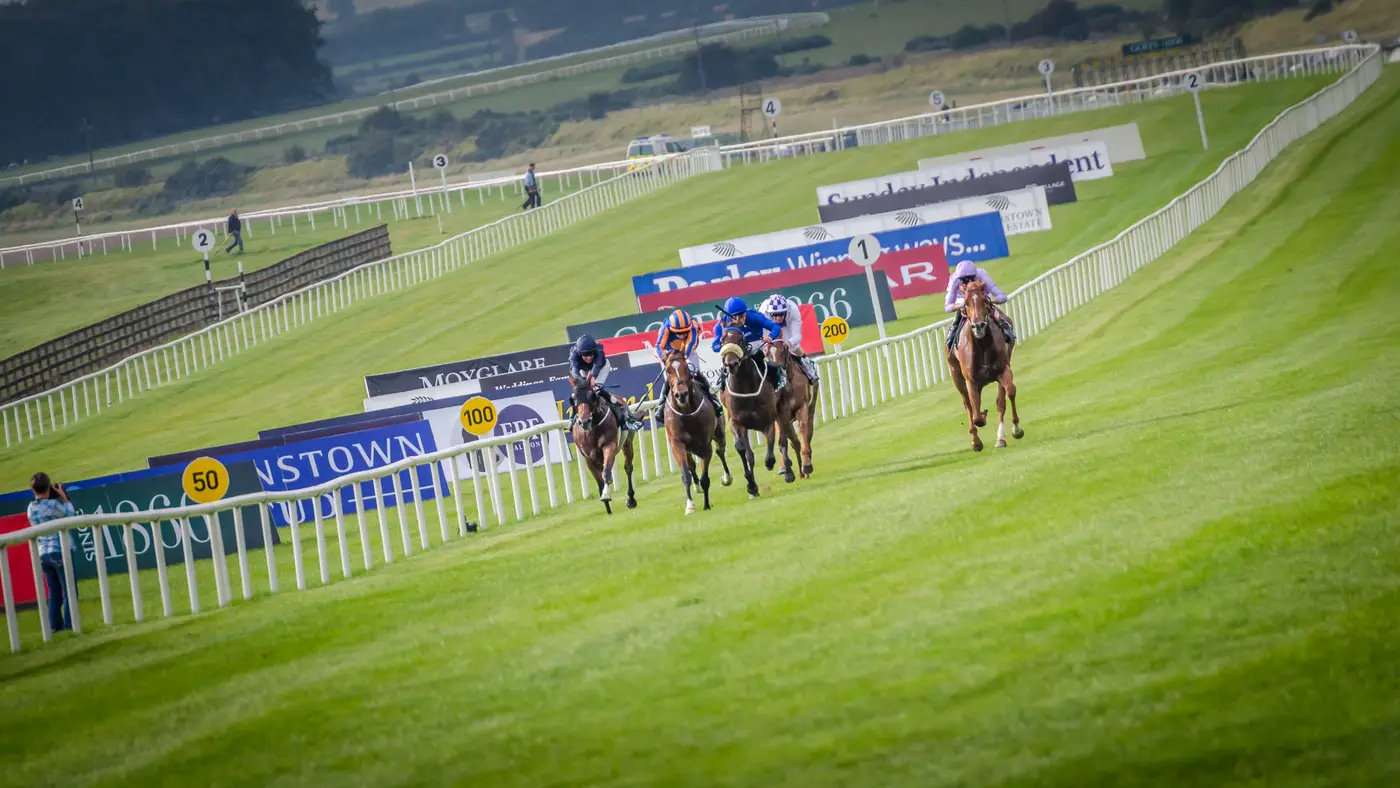 The venue: The Curragh Racecourse